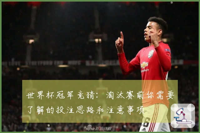 世界杯冠军竞猜:淘汰赛前你需要了解的投注思路和注意事项