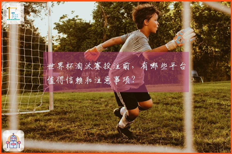 世界杯淘汰赛投注前，有哪些平台值得信赖和注意事项？