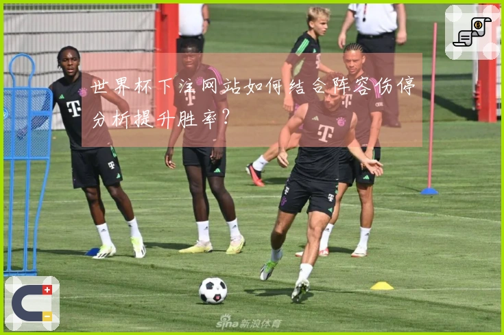 世界杯下注网站如何结合阵容伤停分析提升胜率？